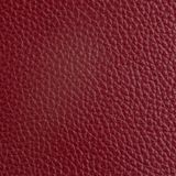 Genuine leather Dollaro tip shine Red