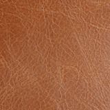 Genuine leather Fargo waxy L Tan